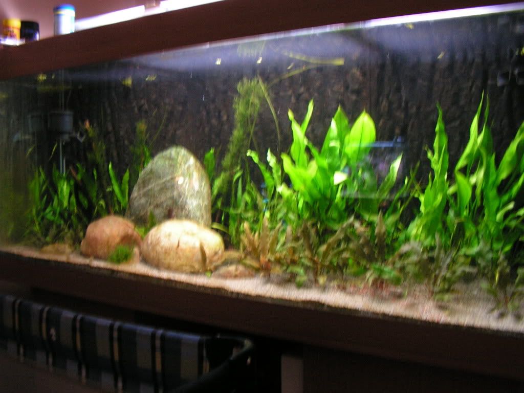 PICT1481.jpg