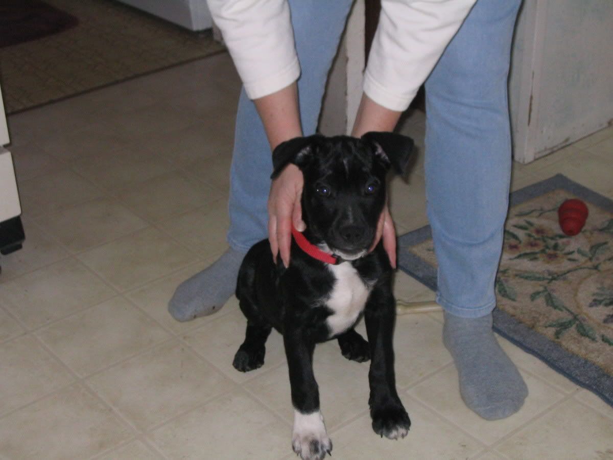 Picture339.jpg