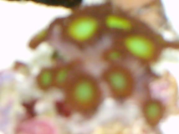 HPIM0321.jpg