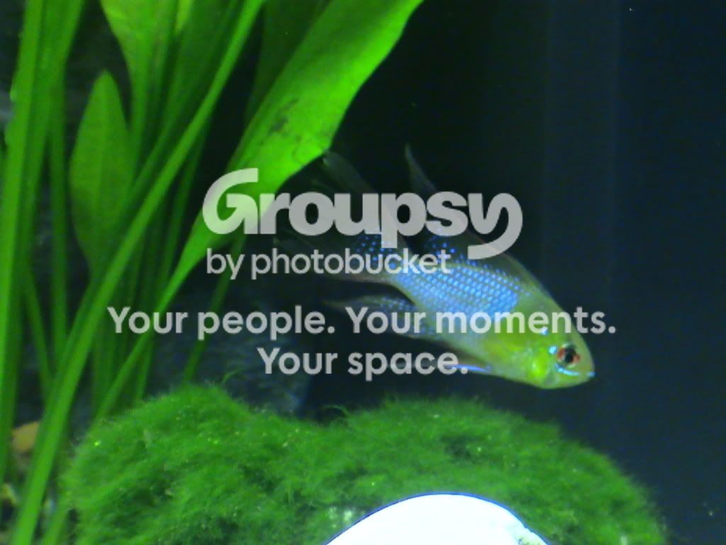 DSC00128.jpg