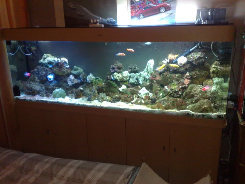 21012009857.jpg