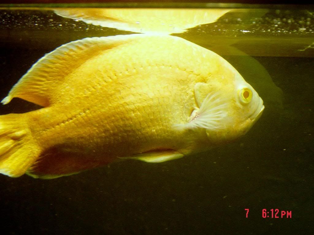 003-6.jpg