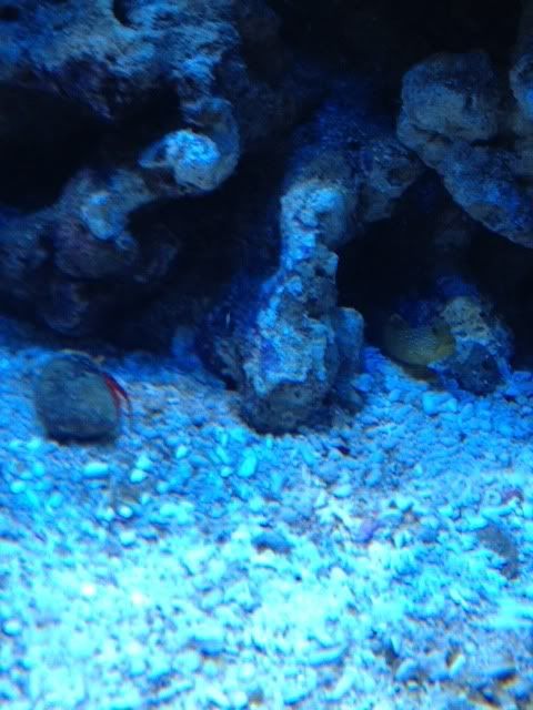 photo4-14.jpg