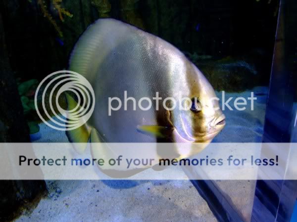 DSCF8827.jpg