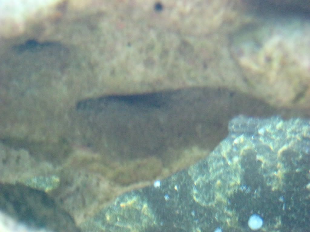 IMG_2856.jpg