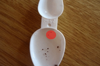 racspoon1-1.gif