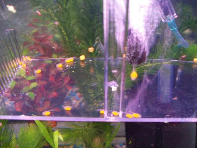 100_0414.jpg