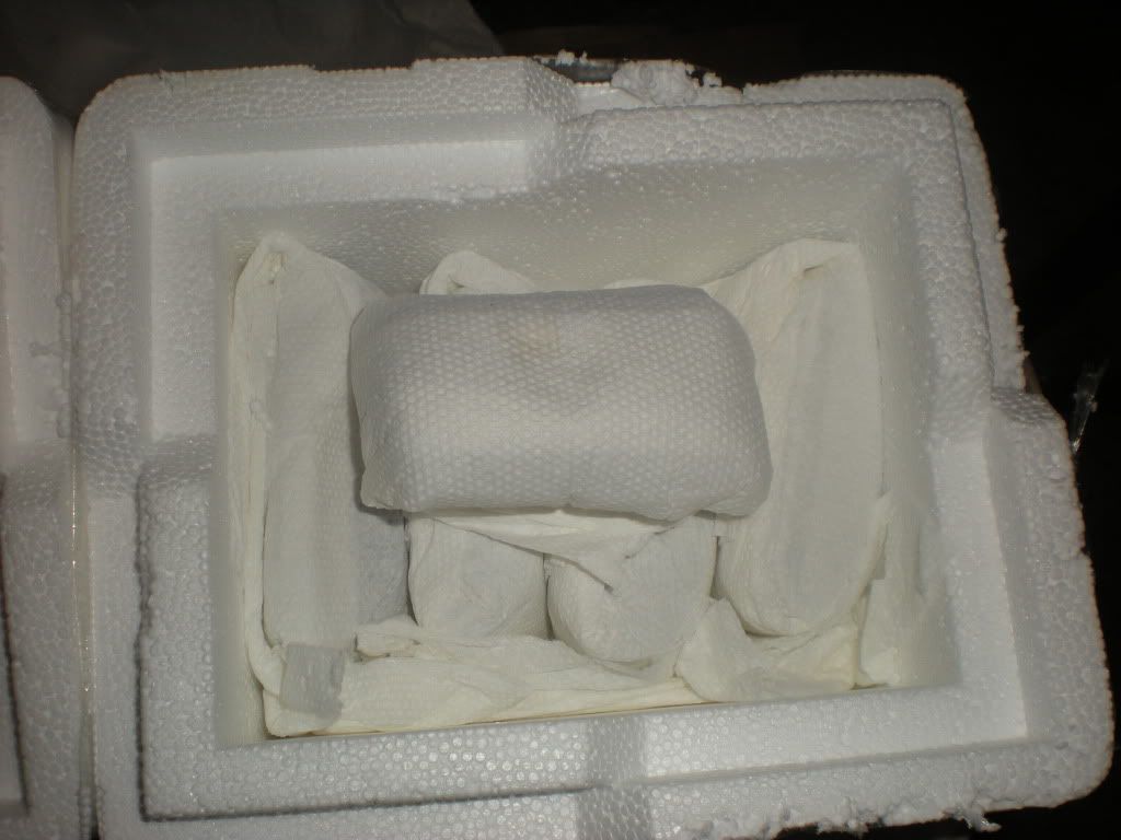 DSCN2258.jpg