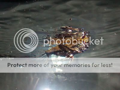 DSCN7219.jpg