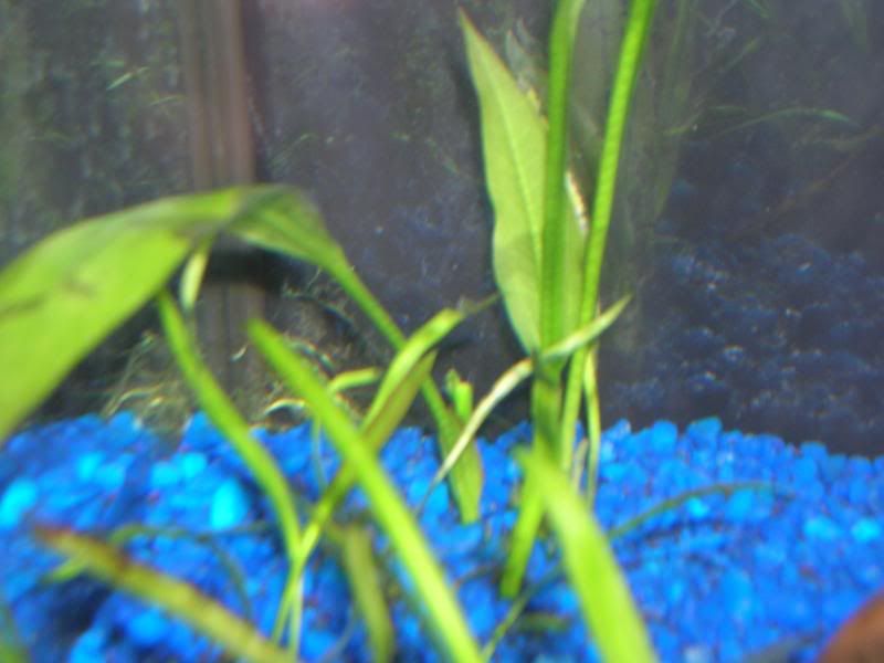 DSCN1355.jpg