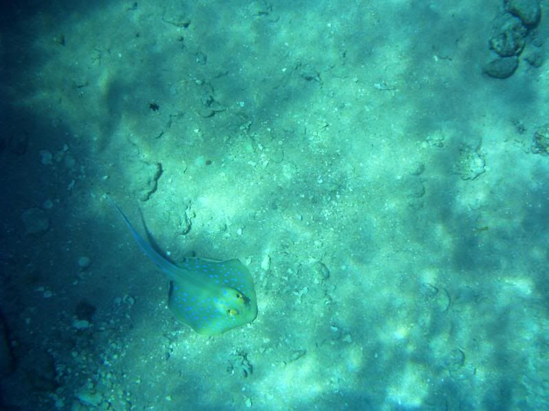 underwater180.jpg