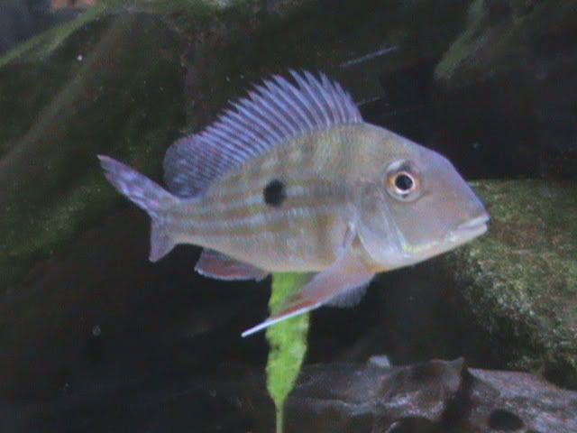 DSC00150.jpg