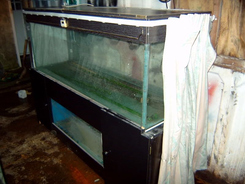 S2300003.jpg