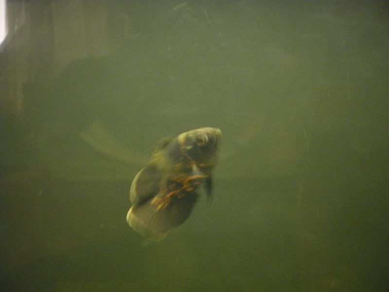 IMGP0076.jpg