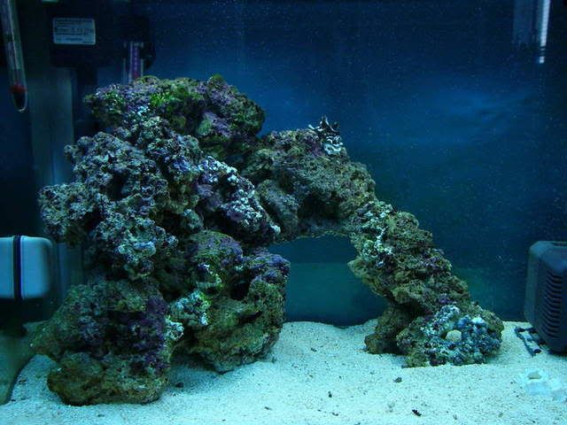 P2140276.jpg