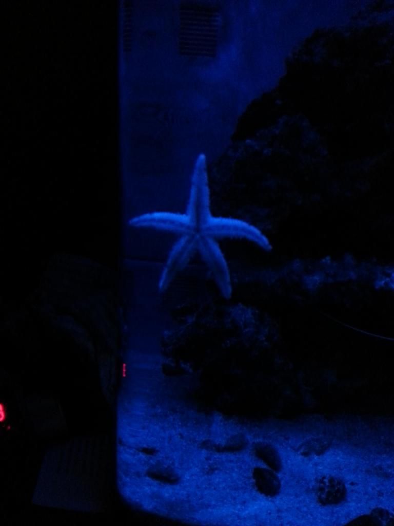 20130118_193714_zps771edda2.jpg