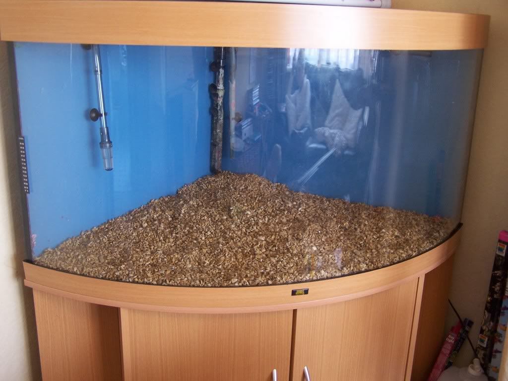graveladded26july.jpg