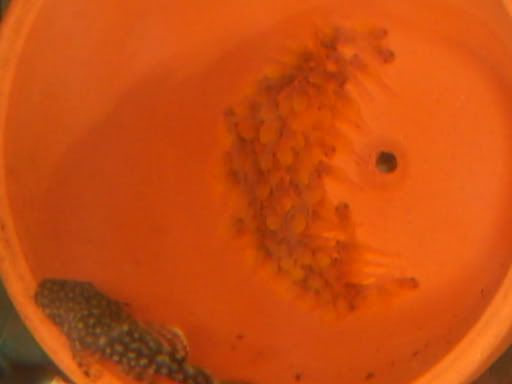 S5005309.jpg