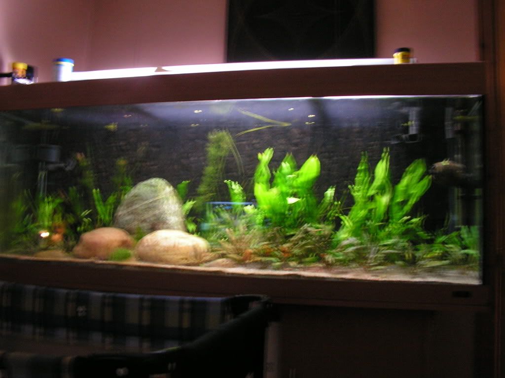 PICT1480.jpg