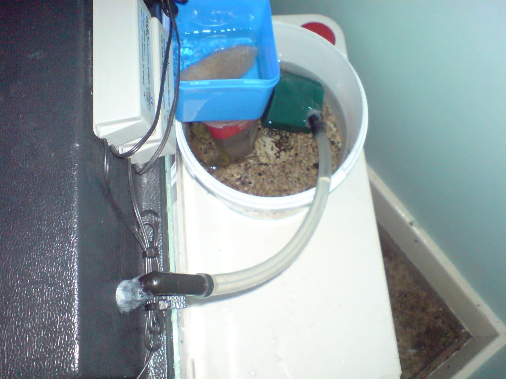 DSC00718.jpg
