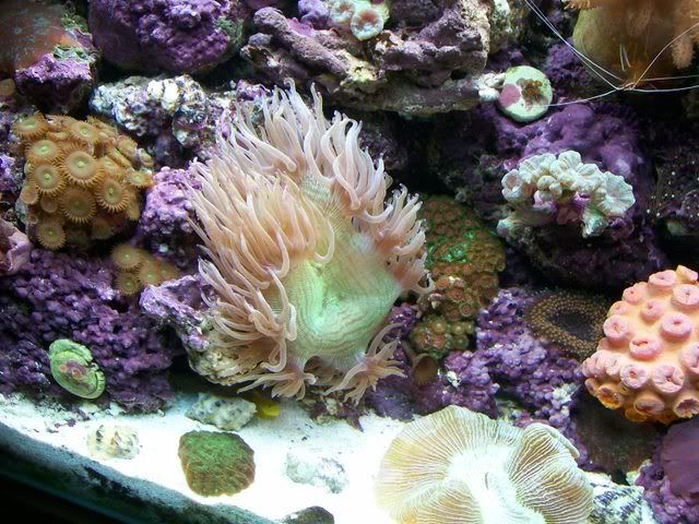 Picture090.jpg