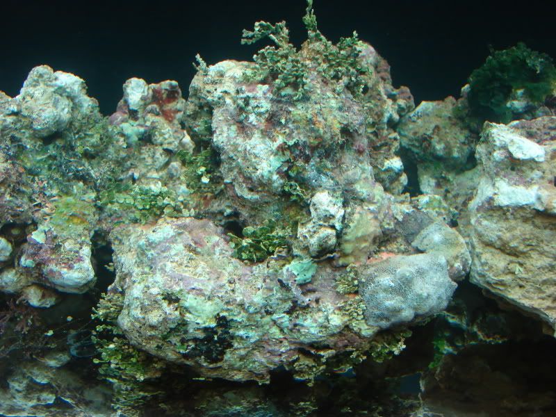 DSC00083.jpg