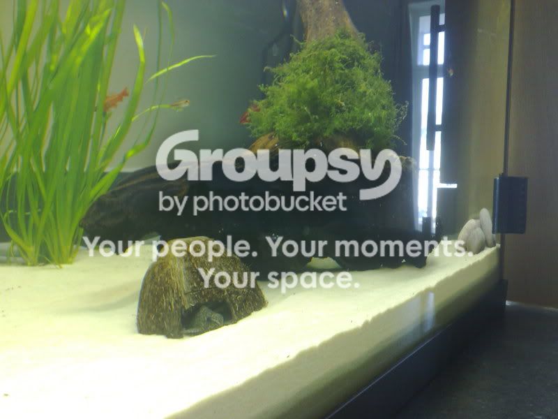 22052010391.jpg