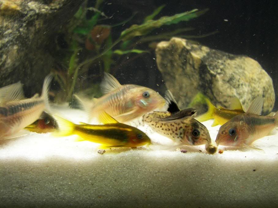 feeding1.jpg