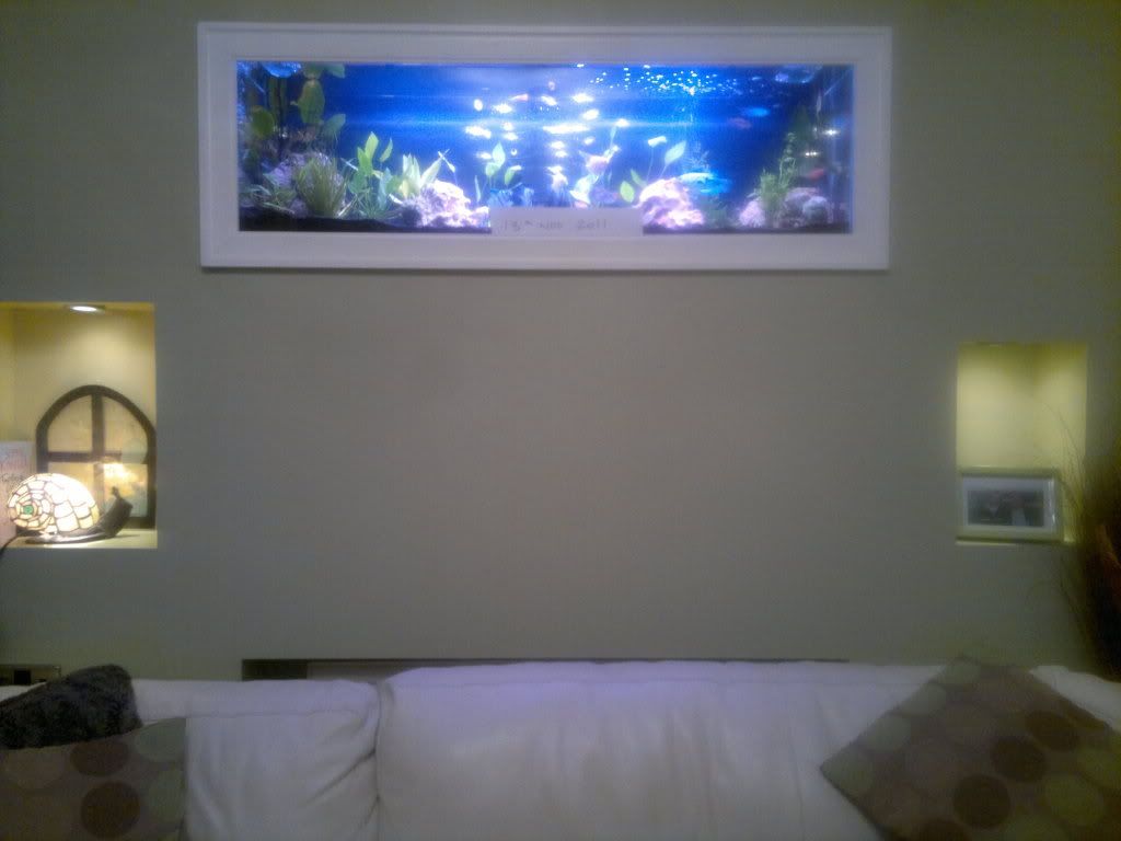 13112011508.jpg