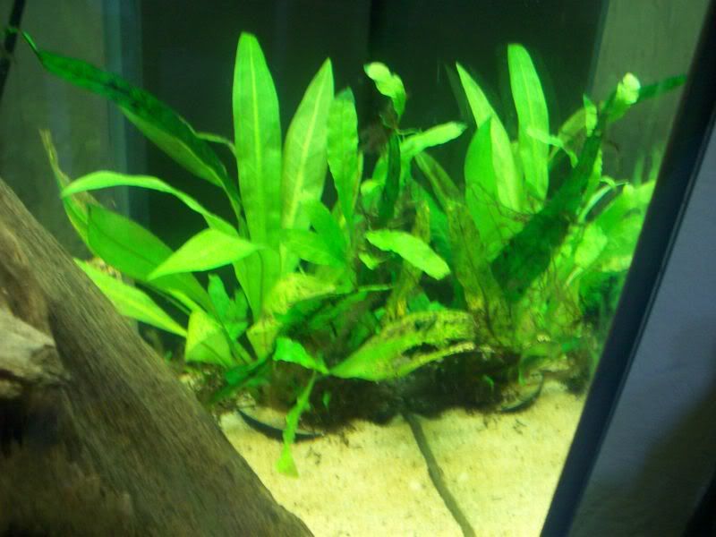 100_1628.jpg