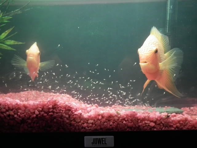 DSCF1114.jpg