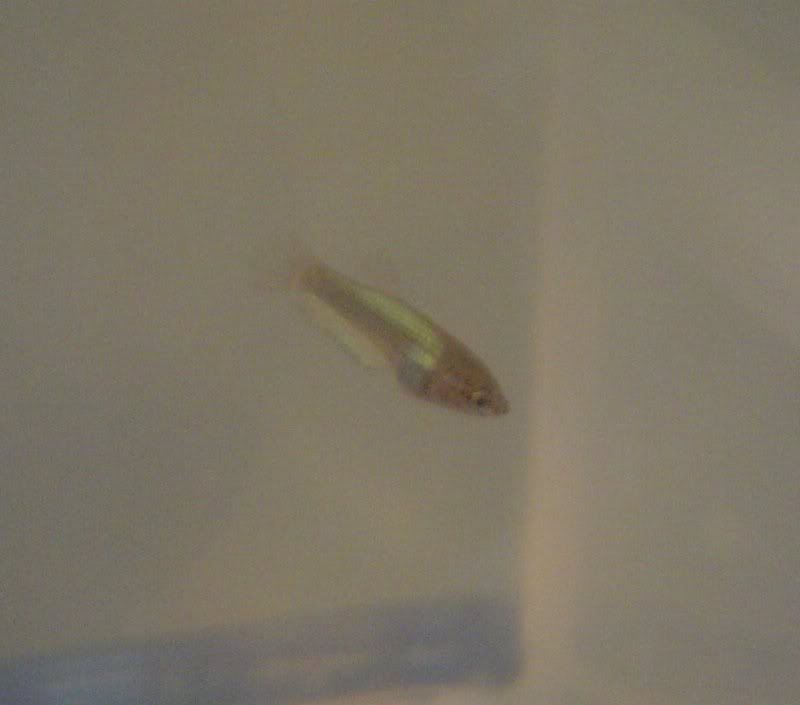 Picture0921.jpg