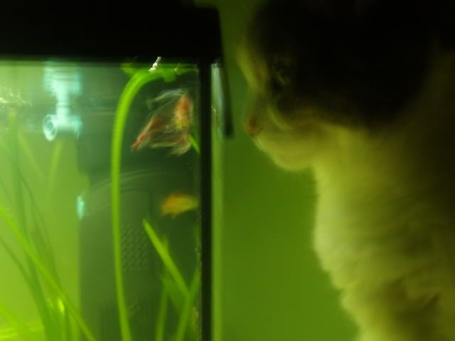 04-10-06010-1.jpg