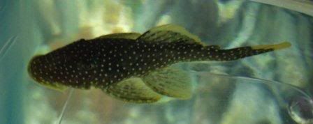 GEDC0543.jpg