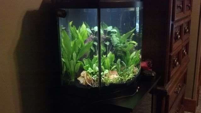 2012-07-31_18-49-15_244.jpg