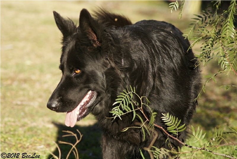 Nika5thAug20121w.jpg