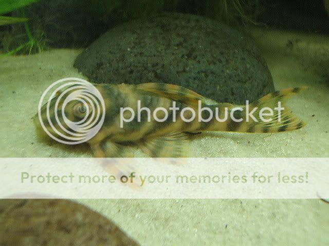 DSCF0155.jpg