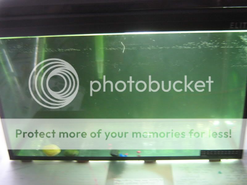 fishtank006.jpg
