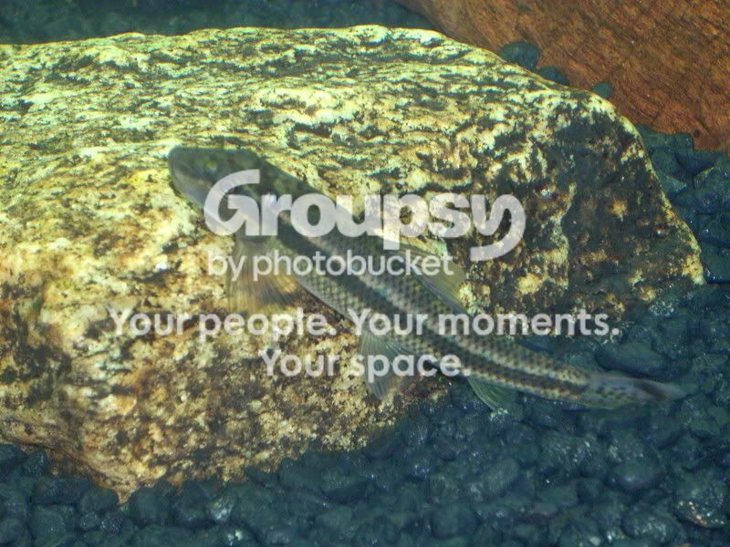 DSCN0853.jpg