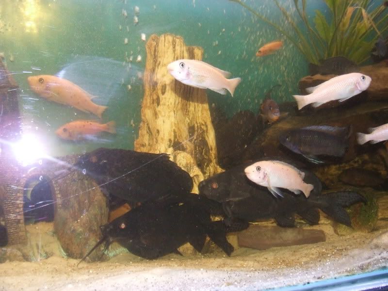 DSCF4567.jpg