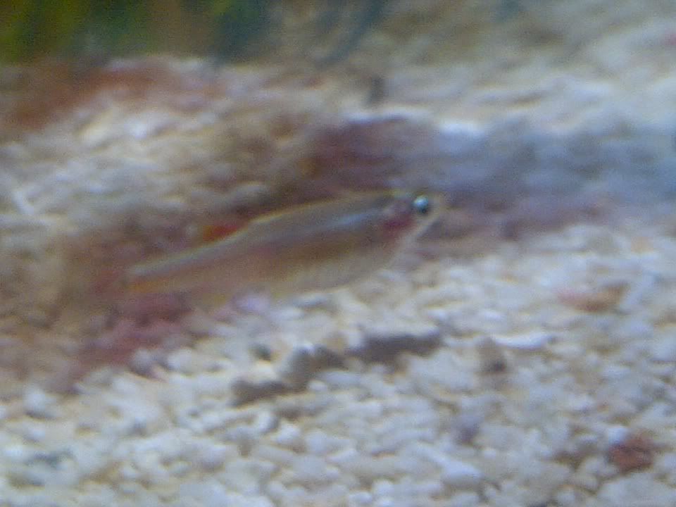 IMG-20111015-00341.jpg