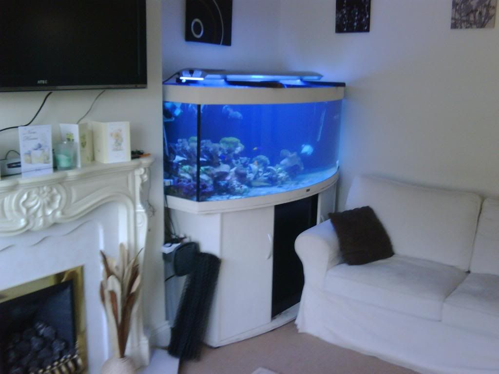 IMG00124-20090420-1610.jpg