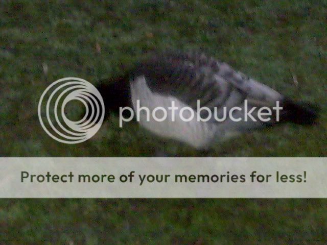 Image024.jpg