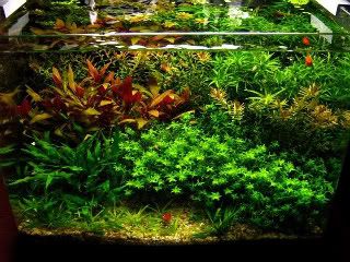 IMG_2692smaller-1.jpg