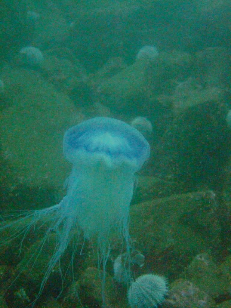 DSCF6001.jpg