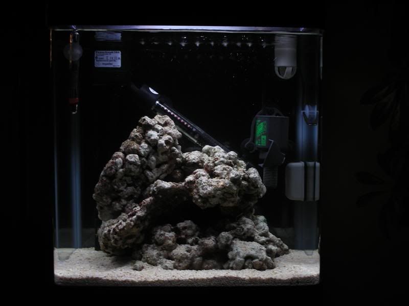 marinestartuppicsLRadded006Medium.jpg