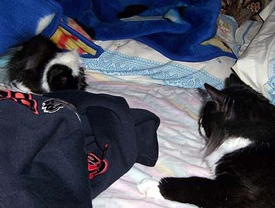 000_04641.jpg
