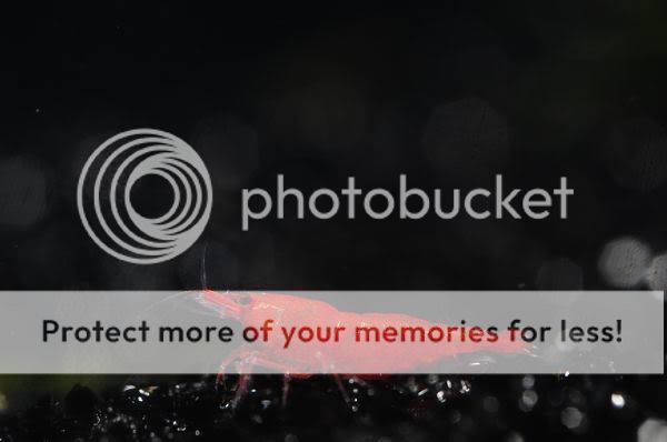 a92800.jpg