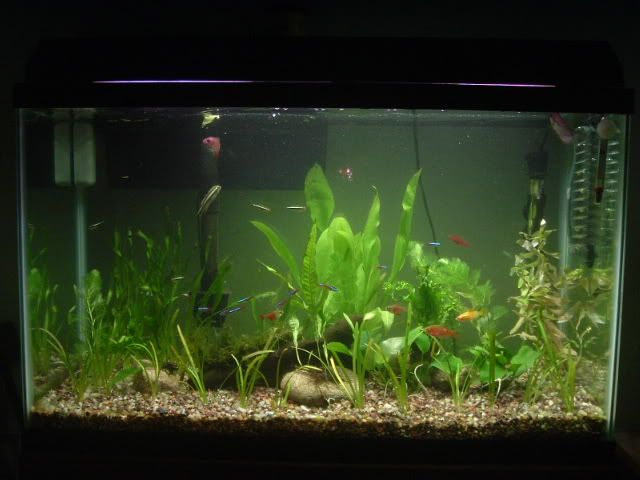 DSCF0544.jpg