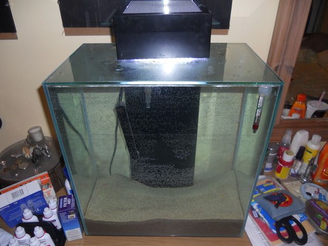 DSCN2094.jpg